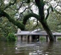 Hurricane Harvey Home Values in Houston