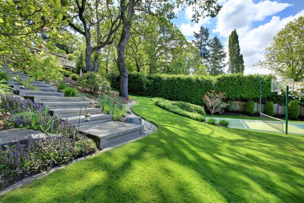 Modern Luxury House Lavish Landscaped Yard